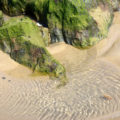 algae rock pool