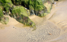 2 background images of algae rocks around a pool of water