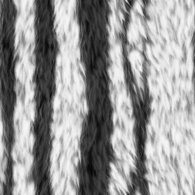 another zebra fur texture