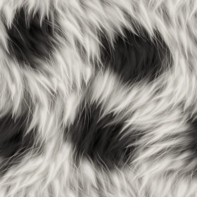 long soft black and white fur texture