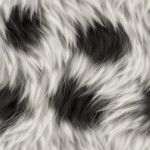 black and white fur texture