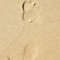 closeup of a footprint in the sand