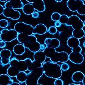 seamless blue electric neon cells under microscope