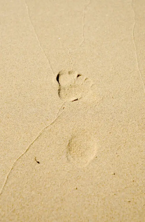 another simple beach footprint in sand