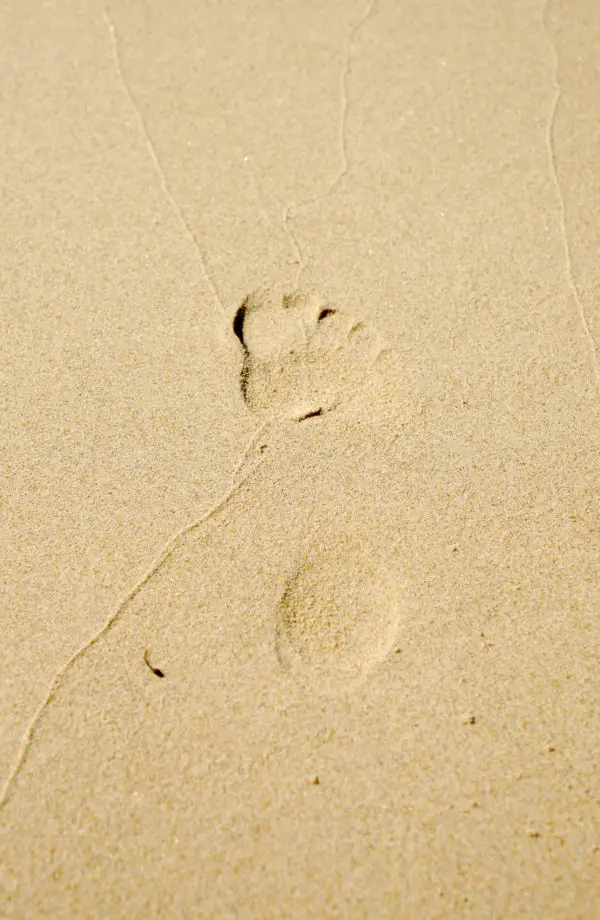 Simple footprint in the sand image