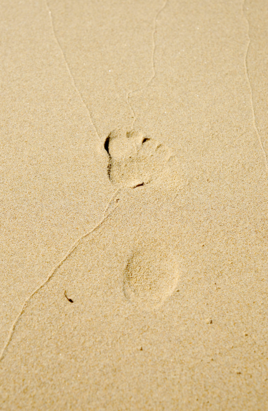 Simple footprint in the sand image