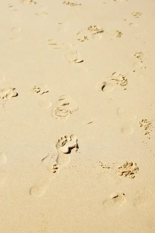 footprints at beach texture