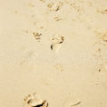 mixed footprints in sand texture