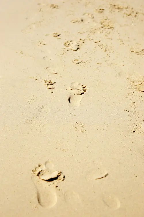 mixed footprints in sand texture