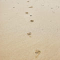 footprints on the beach