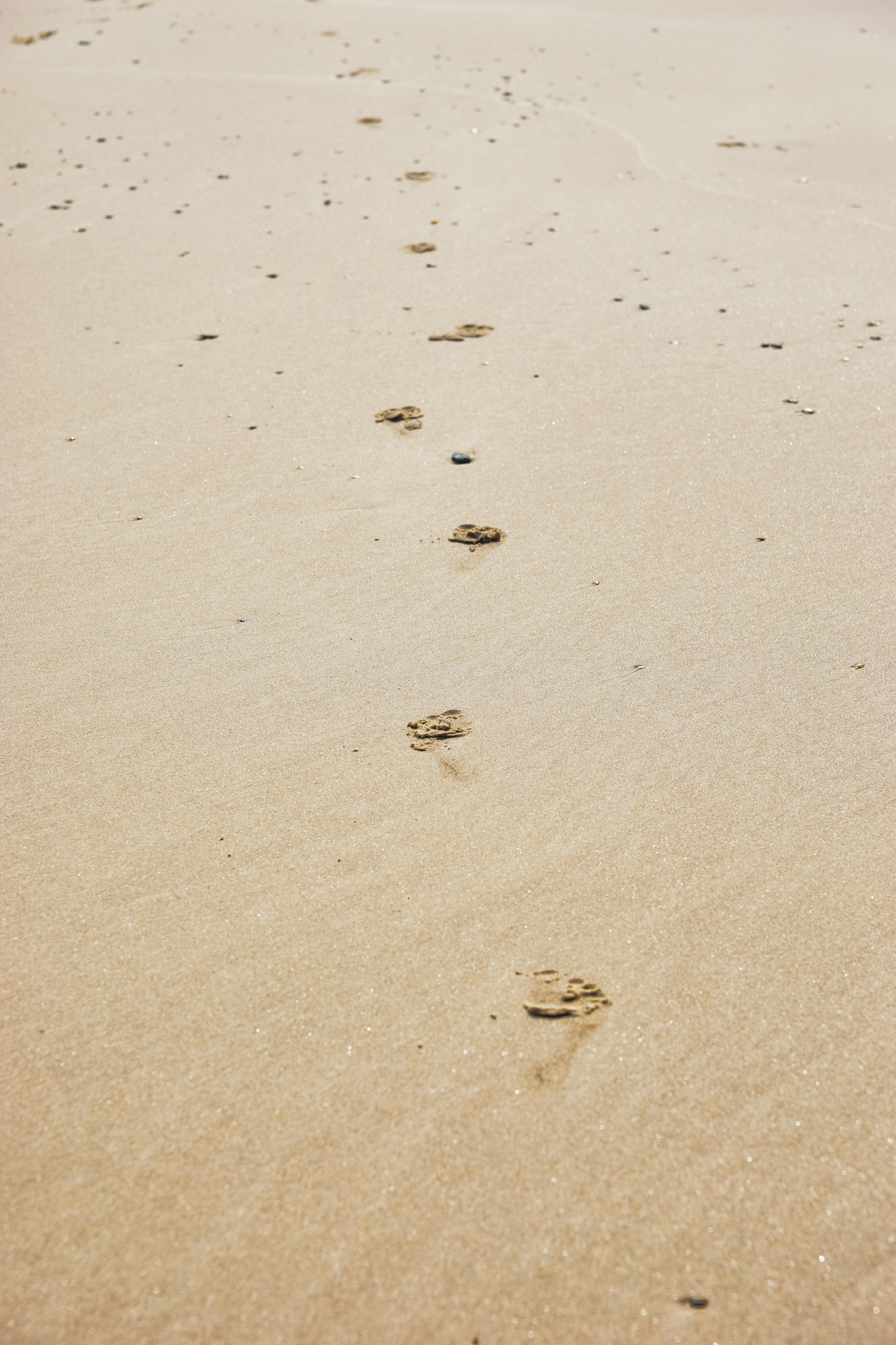 two-images-of-footprints-in-the-sand-www-myfreetextures-free-textures-photos