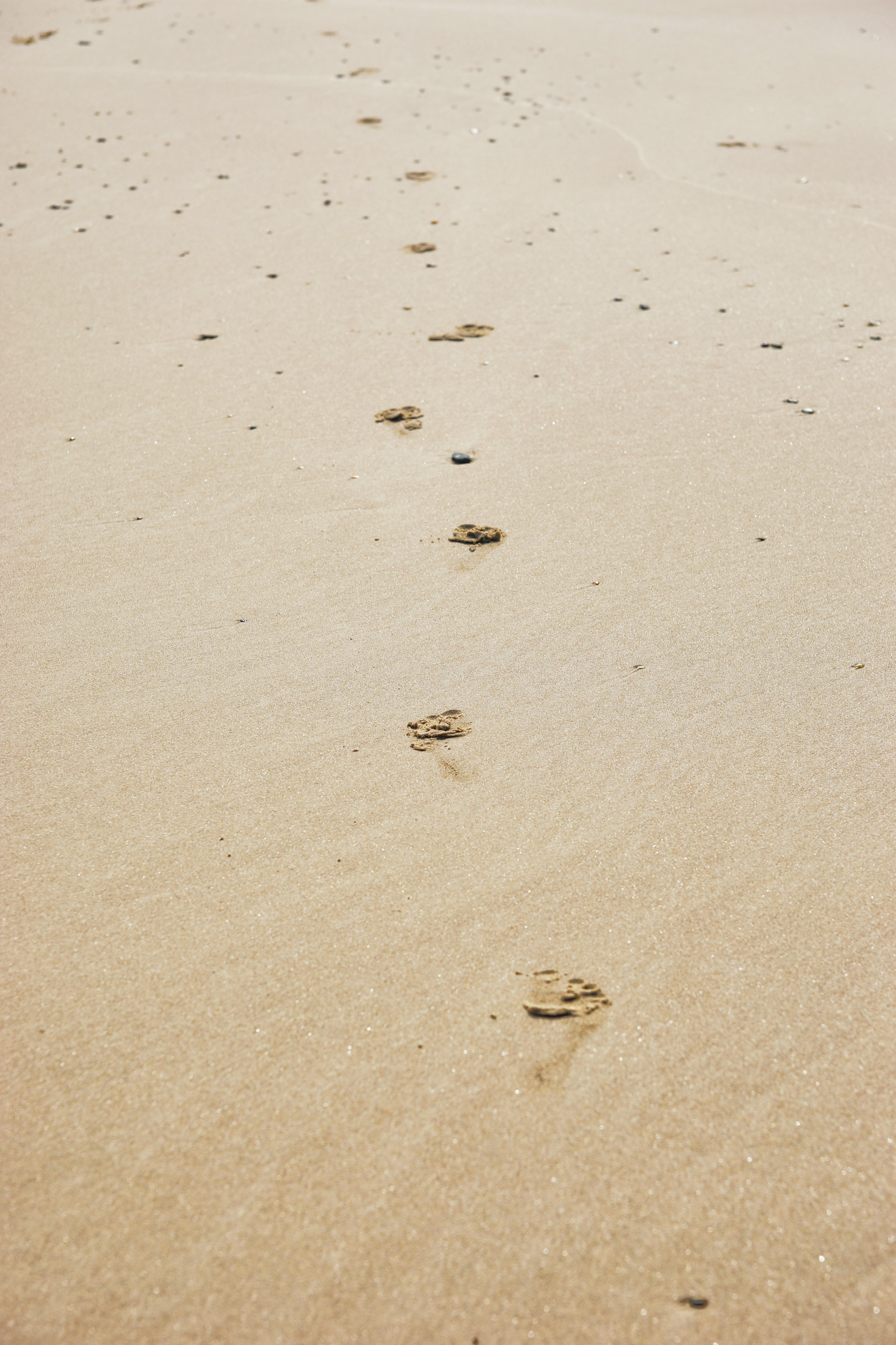 Printable Footprints In The Sand