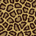 a very large rendered illustration of leopard skin and spots