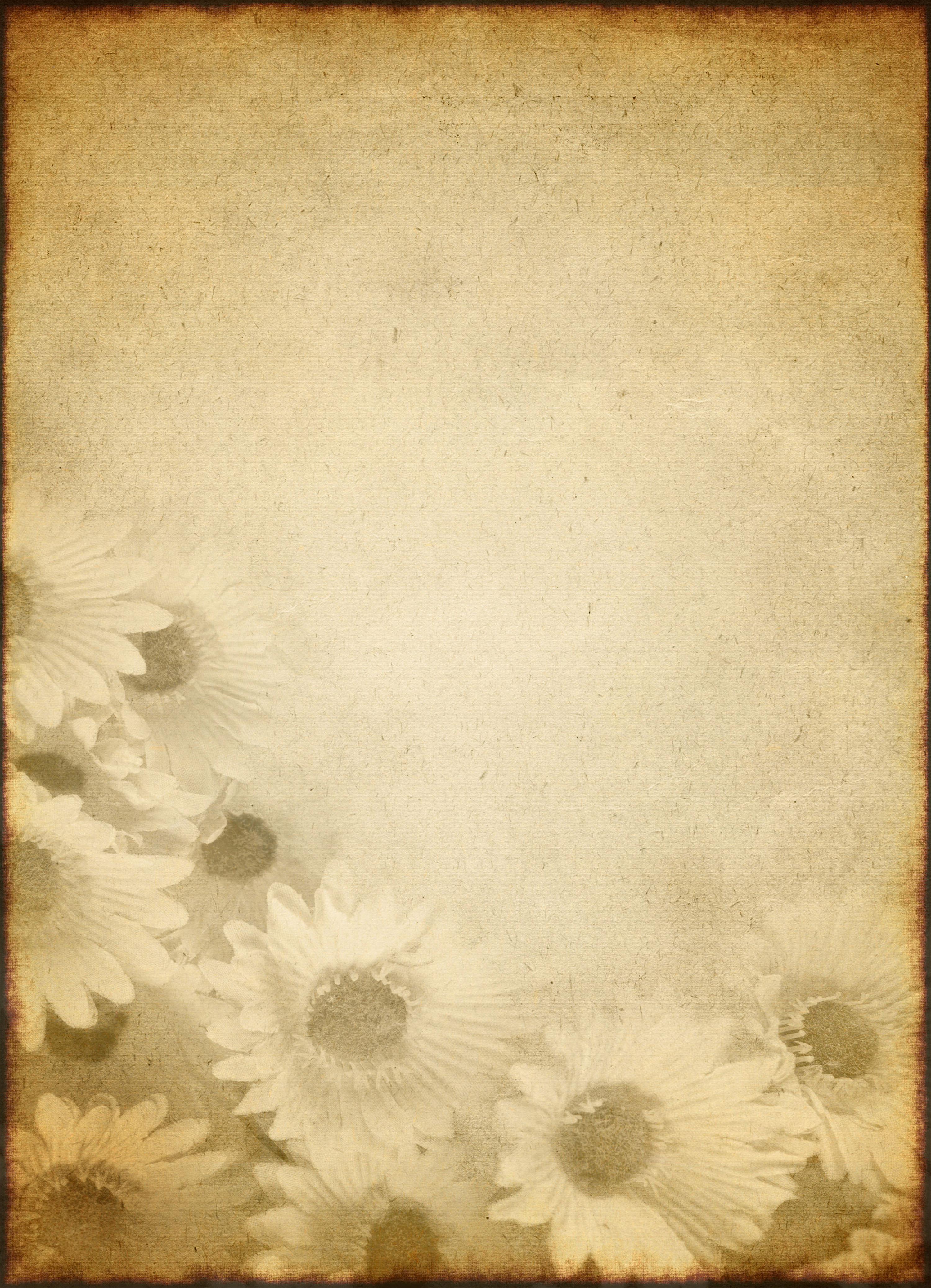 Old paper texture that is worn, faded and has floral print
