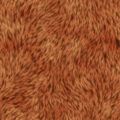 orange fur texture