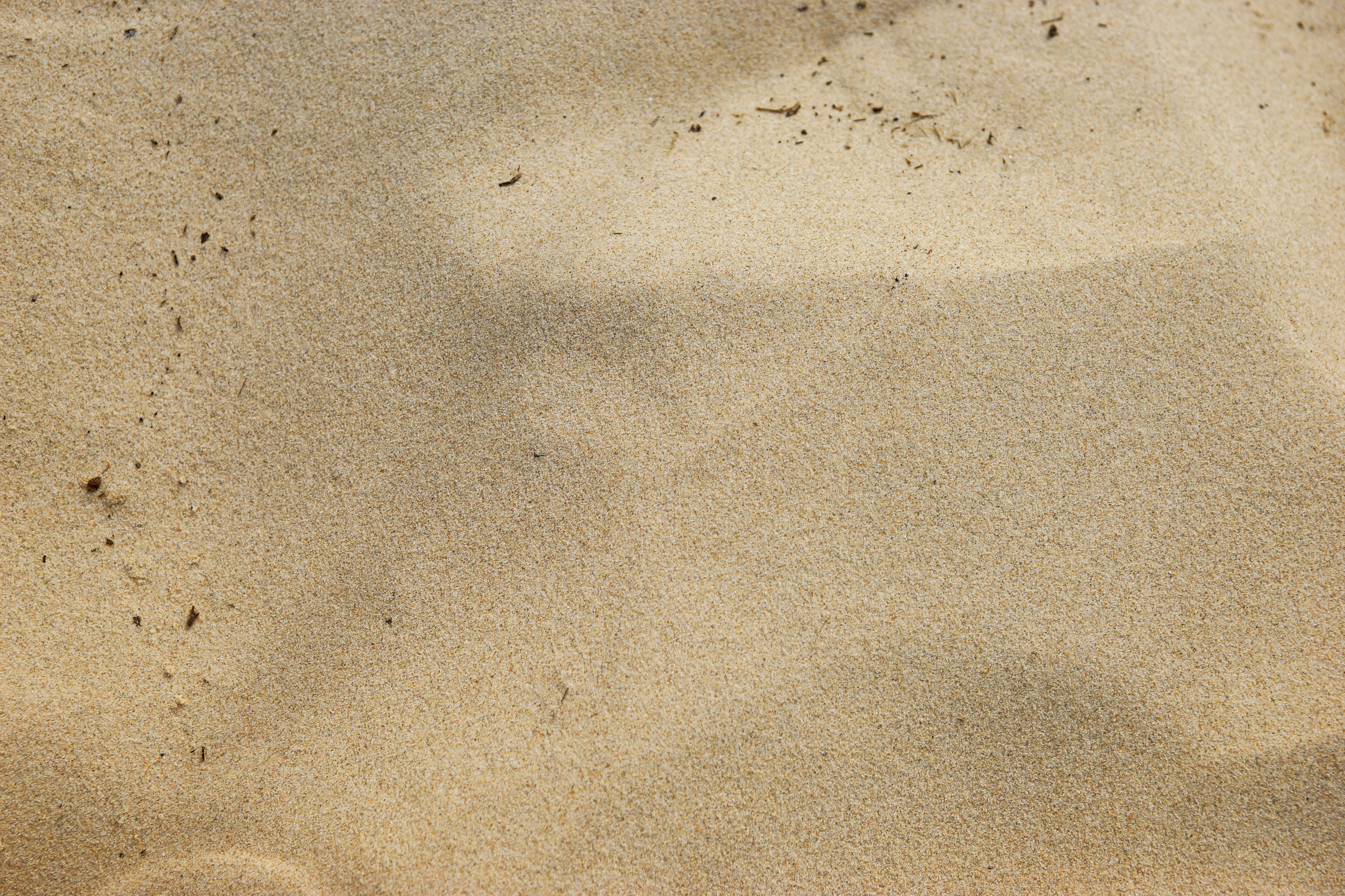 Sand Texture