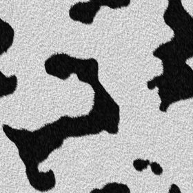 Dalmatian dog fur or seamless dairy cow texture