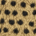 seamless spotted fur texture