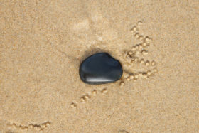 Two photos of a small crab, a stone and some sand texture