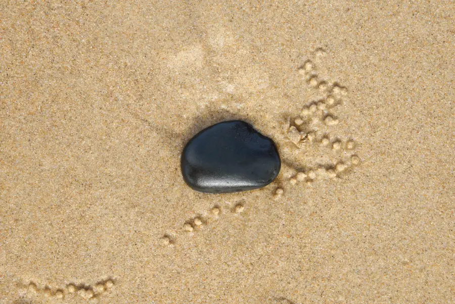 Two photos of a small crab, a stone and some sand texture