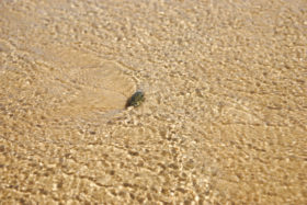 Three photos of a stone in water