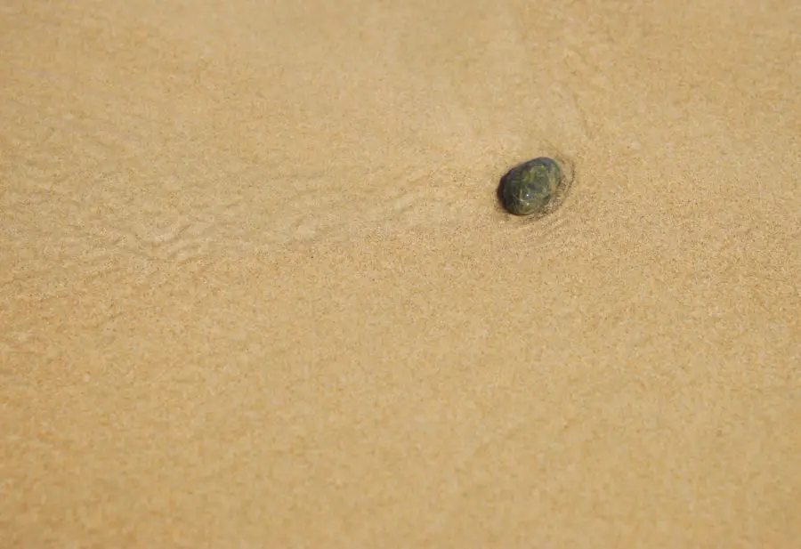 Photo of a stone in the sand texture