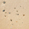 stones on the beach