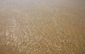 sunlight on the water ripples at the beach