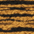 seamless tiger fur texture