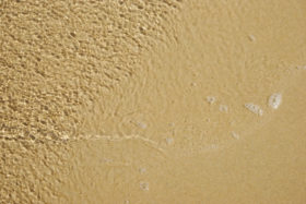 Background image of a water and sand texture