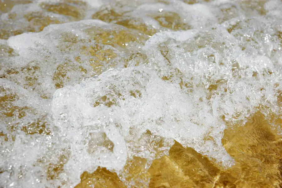 beach waves water foam closeup image