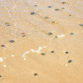 water rocks and sand texture