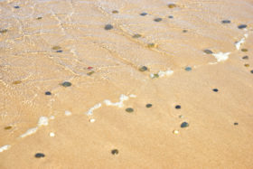 sea, beach, water rocks and sand texture