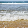 rows of waves on beach sea background