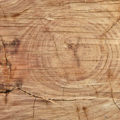 cropped wood rings background texture