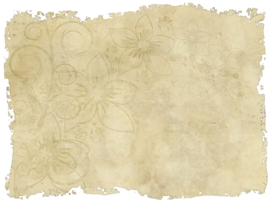 Old paper with torn edges and a faded floral design