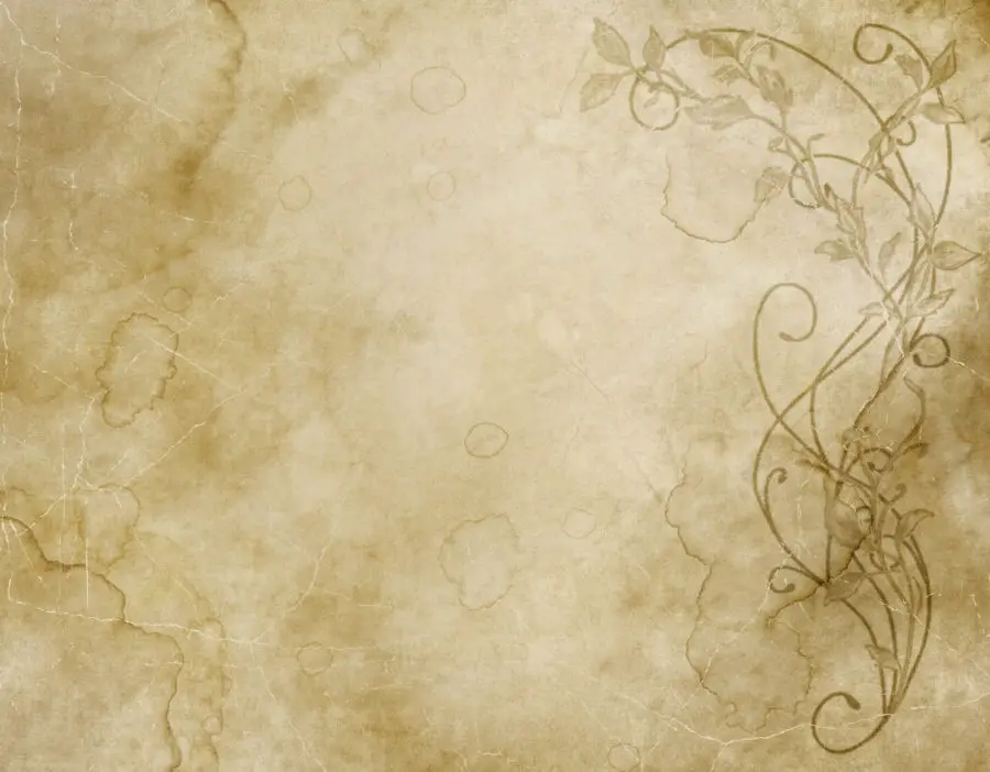 Excellent faded and worn floral design on old paper or parchment texture