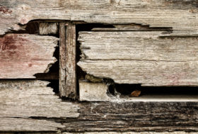Free photo of an old falling apart wooden wall