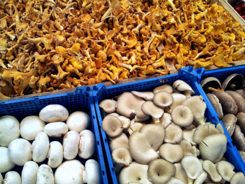 mushrooms in shop