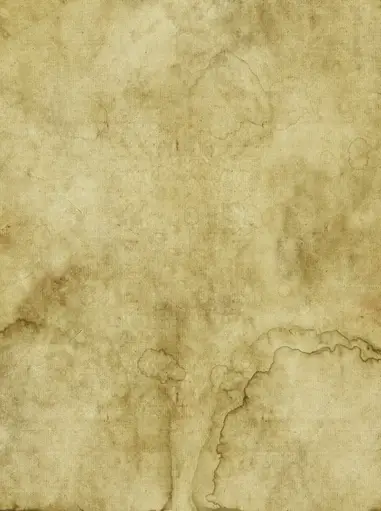 https://www.myfreetextures.com/wp-content/uploads/2014/11/old-yellow-and-brown-parchment-paper-900x1204.jpg?ezimgfmt=rs:382x511/rscb1/ng:webp/ngcb1
