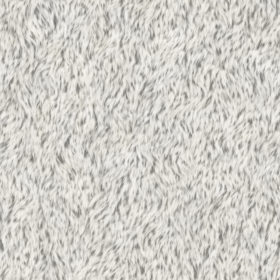 Short White Fur Texture Background