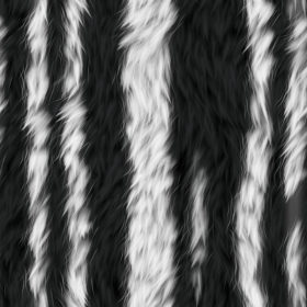 Zebra Print Background Texture