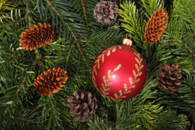 20 Great Ball or Bauble Themed Free Christmas Wallpaper or Christmas Background Images