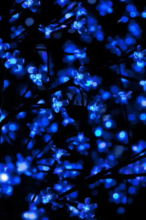 blue christmas lights background