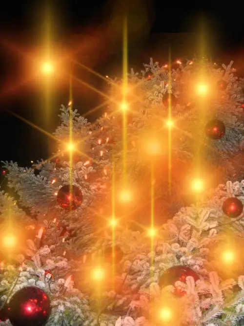 christmas tree lights on tree picture