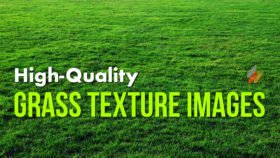 12 Useful Grass Textures