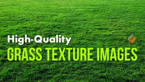 Grass Texture Collection.