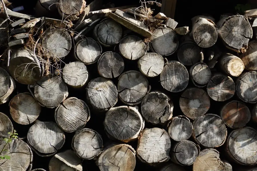 Cut Wood Logs Stacked in a Pile Background Image.