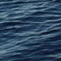 Sea Ripple Texture Free Stock Photo