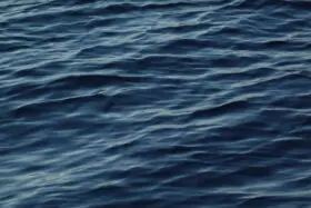 Sea Ripple Texture Free Stock Photo